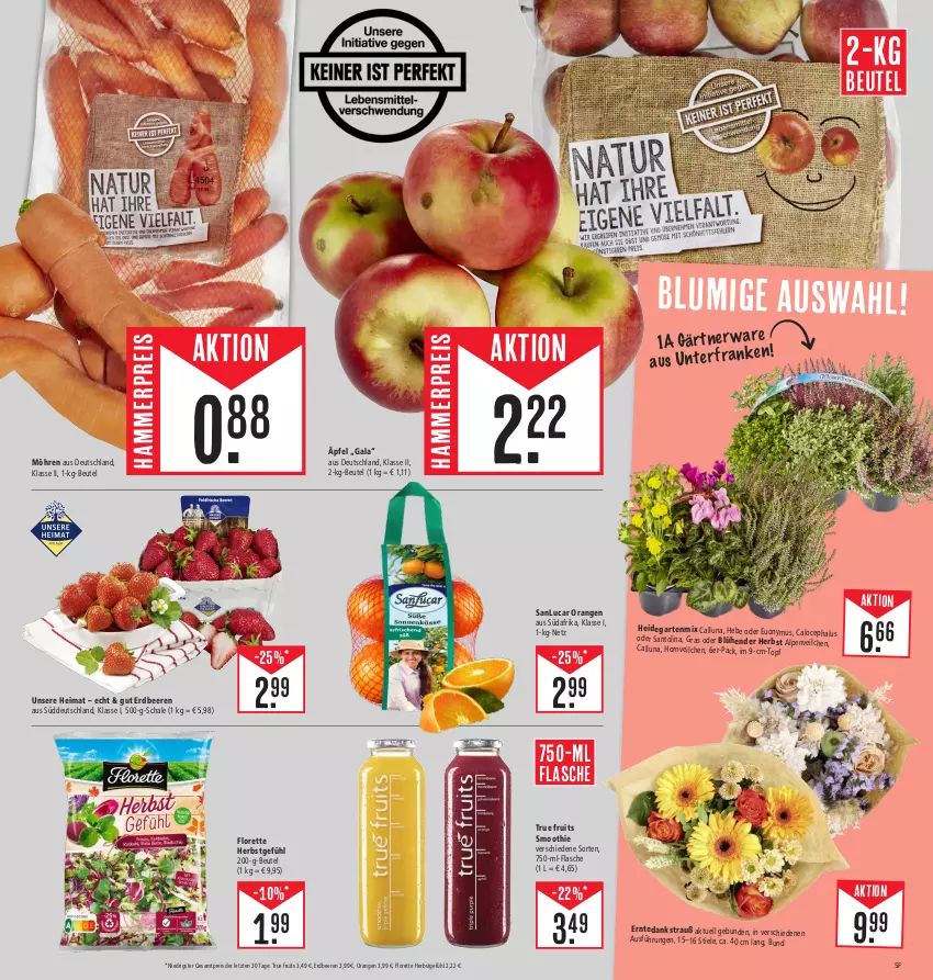 Aktueller Prospekt E Center - Angebote der Woche - von 25.09 bis 30.09.2023 - strona 5 - produkty: Alpenveilchen, beere, beeren, beutel, eis, erdbeere, erdbeeren, flasche, florette, Garten, im 9-cm-topf, möhren, orange, orangen, reis, Schal, Schale, smoothie, Ti, topf, true fruits, ZTE