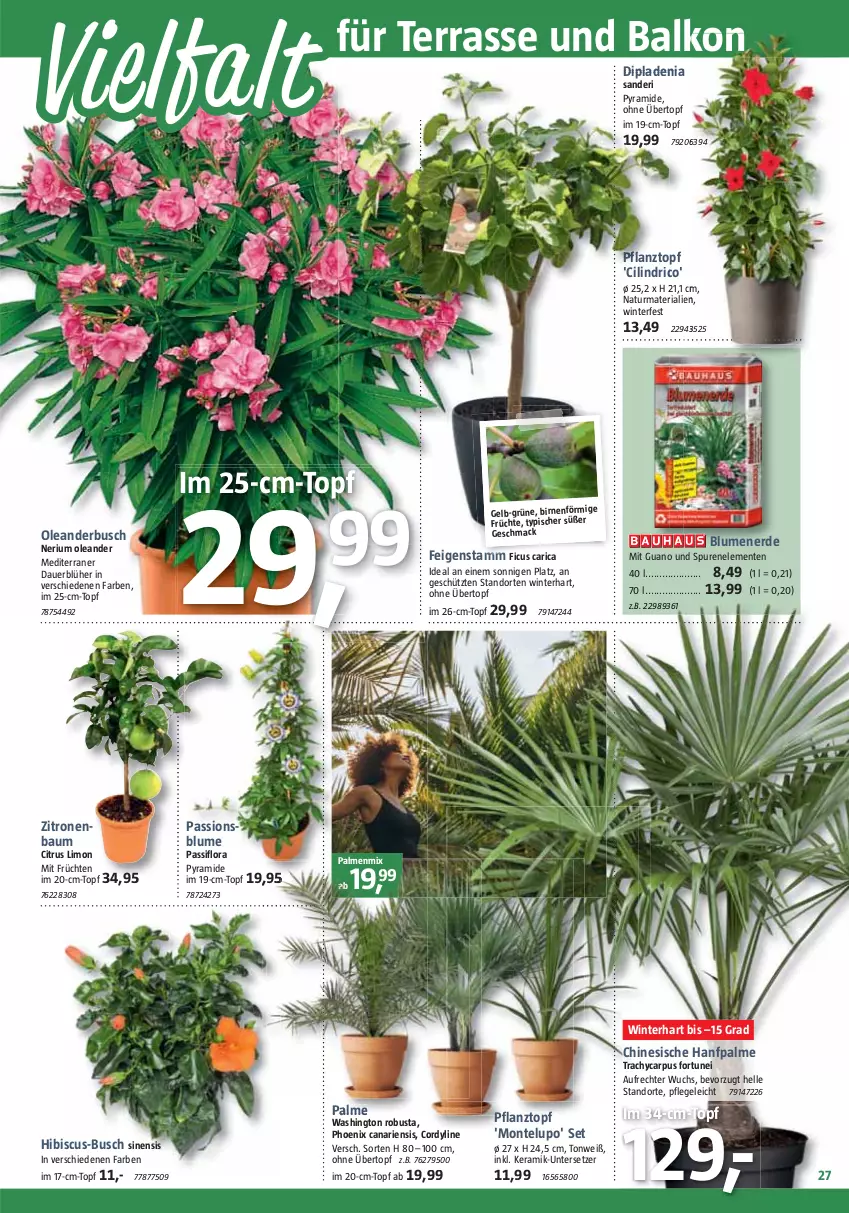 Aktueller Prospekt Bauhaus - Prospekte - von 27.05 bis 01.07.2023 - strona 27 - produkty: auer, Bau, Birnen, blume, blumen, blumenerde, citrus, dip, dipladenia, elle, ente, erde, Feigen, Ficus, früchte, früchten, limo, mac, monte, natur, Passiflora, Pflanztopf, Ria, topf, übertopf, Untersetzer, zitrone, zitronen, ZTE