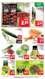 Gazetka promocyjna Marktkauf - Prospekt - Gazetka - ważna od 10.02 do 10.02.2024 - strona 11 - produkty: aktionspreis, besteck, bio, deka, edeka bio, eis, elle, feinschmecker, kartoffel, kartoffeln, Lauchzwiebel, lauchzwiebeln, LG, mini-rispentomaten, möhren, nuss, radieschen, reis, rispentomaten, salat, speisekartoffeln, Ti, tomate, tomaten, zitrone, zitronen, ZTE, zwiebel, zwiebeln