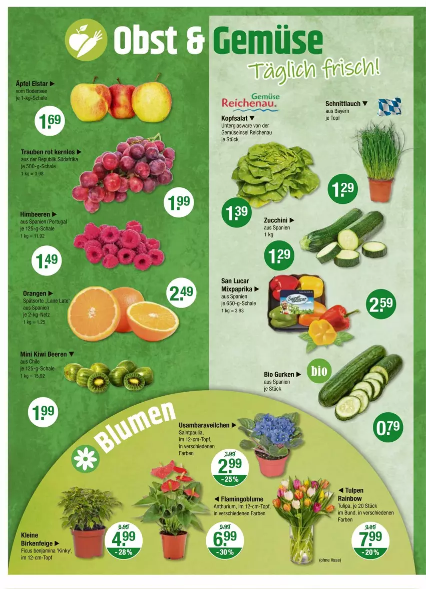 Aktueller Prospekt Vmarkt - Prospekte - von 29.02 bis 06.03.2024 - strona 4 - produkty: schnittlauch