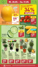 Gazetka promocyjna Aldi Nord - Von Montag - Gazetka - ważna od 31.05 do 31.05.2025 - strona 26 - produkty: aldi, banane, Becher, beere, Blüte, Brei, dip, dipladenia, eis, erdbeere, galiamelone, gin, gurke, gurken, kaffee, kulturtopf, lavendel, mais, melone, obst, pflanze, reis, rispentomaten, Schal, Schale, snack, Ti, tomate, tomaten, topf, ZTE, zucker, zuckermais