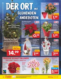 Gazetka promocyjna Netto Marken-Discount - Filial-Angebote - Gazetka - ważna od 26.11 do 26.11.2022 - strona 14 - produkty: angebot, angebote, batterie, batterien, bestpreis, blume, blumen, Blüte, chrysanthemen, eis, elle, gin, Holz, Kalanchoe, Kette, leds, lichterkette, ndk, orchidee, orchideen, reis, rezept, Ria, rosen, sac, teller, tesa, Ti, topf, weihnachten, Weihnachtsstern, ZTE