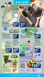 Gazetka promocyjna Aldi Nord - Von Montag - Gazetka - ważna od 19.08 do 19.08.2023 - strona 11 - produkty: aldi, auer, bambus, beutel, blume, blumen, Blüte, Brei, bürste, Clin, dell, eis, elle, Engel, erde, flasche, Germ, Glasreiniger, hero, kosmetik, kraft, kulturtopf, LG, Mode, müllbeutel, natur, papier, pflanze, Pinsel, recyclingmaterial, reiniger, reis, Ria, rwe, Soda, spiritus, spülmittel, Ti, tiefpreis, toilettenpapier, topf, tragegriff, übertopf, wc-reiniger, zitrone, zitronen