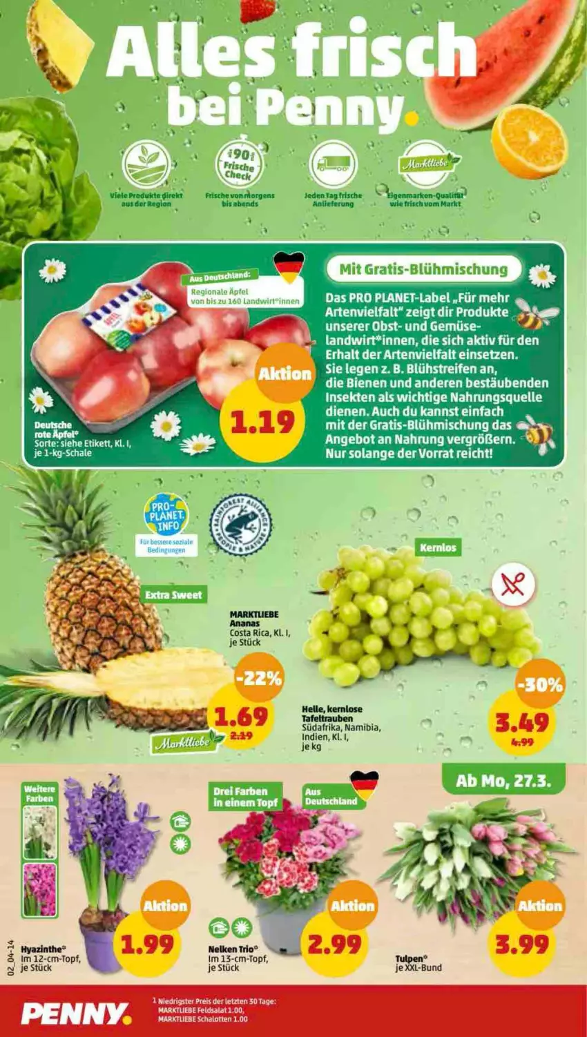 Aktueller Prospekt Penny - Prospekte - von 27.03 bis 01.04.2023 - strona 2 - produkty: ananas, angebot, elle, obst, reifen, rel, sekt, tee, Ti, topf, und gemüse