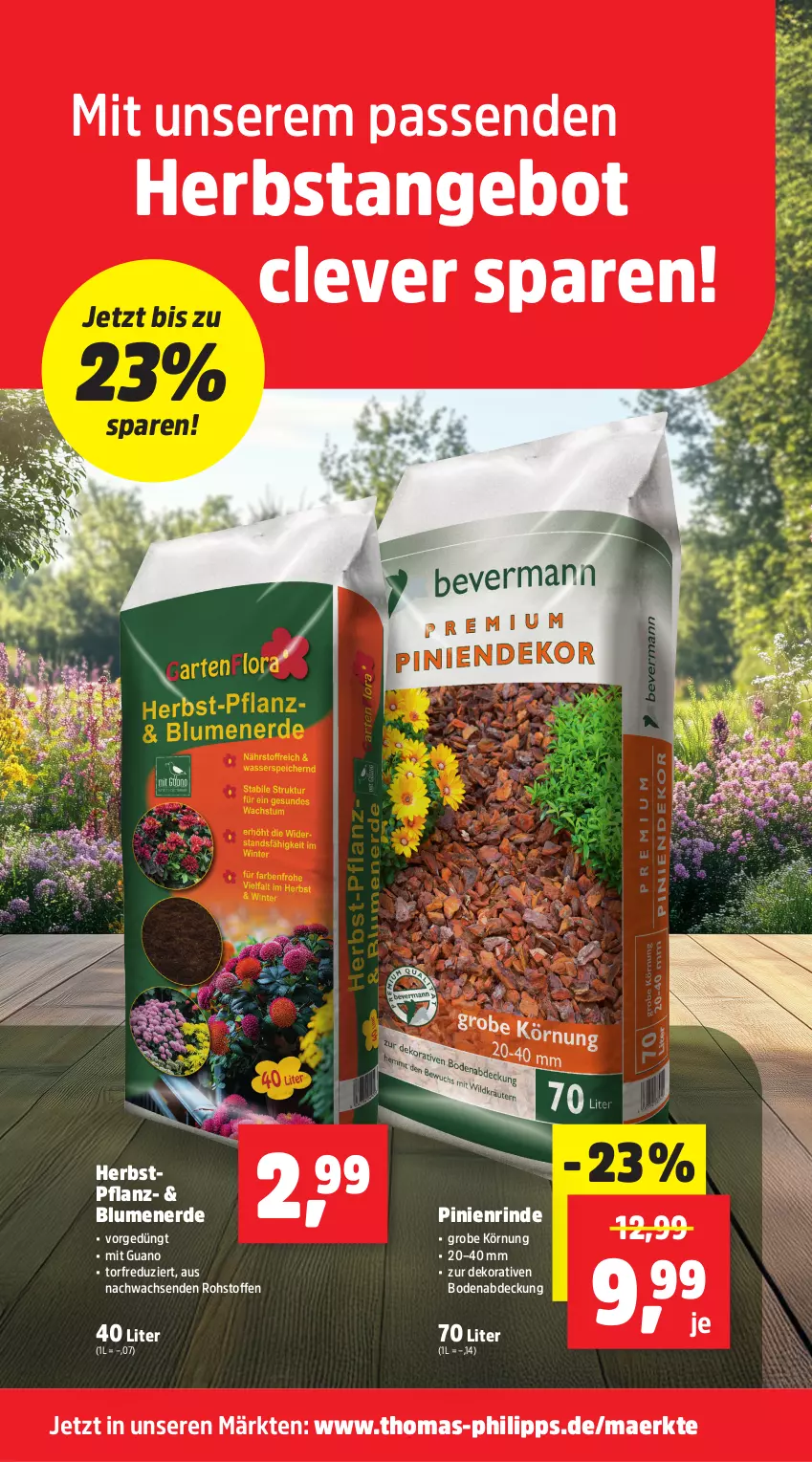 Aktueller Prospekt Thomas Philipps - von 01.09 bis 06.09.2025 - strona 4 - produkty: angebot, blume, blumen, blumenerde, erde, rind, Ti