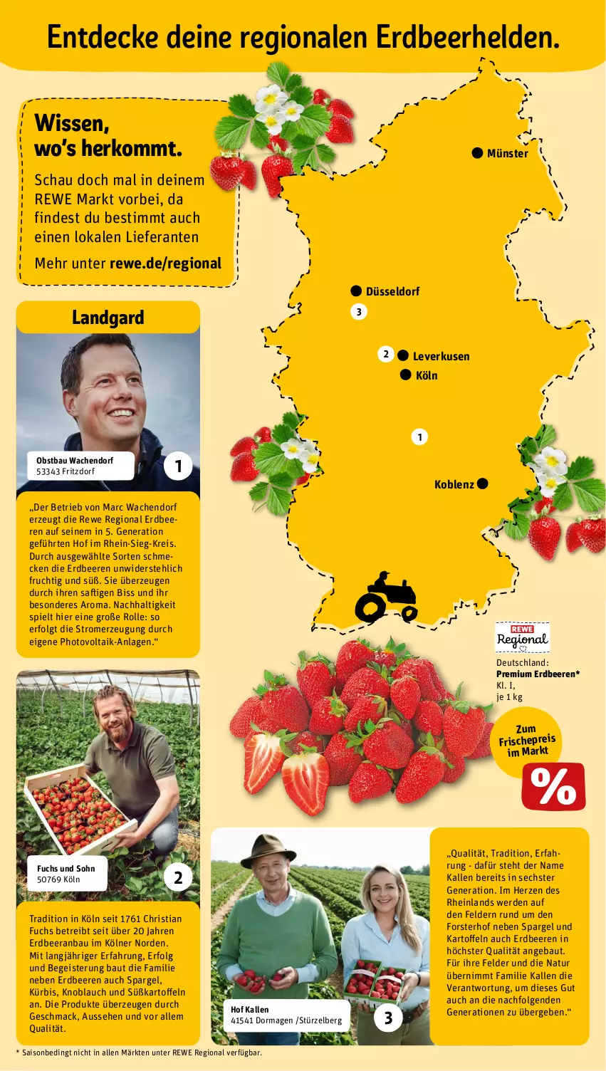 Aktueller Prospekt Rewe - Prospekte - von 17.06 bis 22.06.2024 - strona 17 - produkty: Bau, beere, beeren, decke, eis, erdbeere, erdbeeren, erde, fritz, frucht, kartoffel, kartoffeln, knoblauch, Kürbis, LG, mac, natur, obst, reis, saft, spargel, Süßkartoffeln, Ti