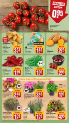 Gazetka promocyjna Rewe - Prospekte - Gazetka - ważna od 22.06 do 22.06.2024 - strona 7 - produkty: bio, blume, blumen, Blüte, chrysanthemen, cola, dahlie, eier, eis, Garten, honig, Honigtomaten, kartoffel, kartoffeln, Körbchen, Kraut, lavendel, LG, paprika, petunie, ring, rispentomaten, rucola, Schal, Schale, Schmuck, sonnenblume, sonnenblumen, speisekartoffeln, Speisezwiebeln, Spitzpaprika, Süßkartoffeln, Ti, tomate, tomaten, topf, zauberglöckchen, zwiebel, zwiebeln