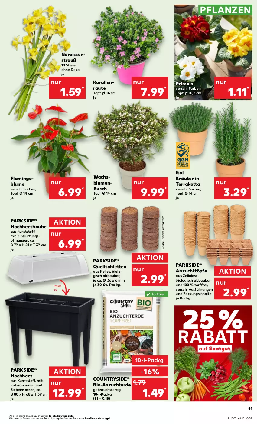 Aktueller Prospekt Kaufland - Prospekt - von 15.02 bis 21.02.2024 - strona 11 - produkty: Abba, angebot, angebote, Bau, bio, blume, blumen, erde, kokos, kräuter, Narzissen, Parkside, pflanze, pflanzen, Primeln, Rauch, tablet, tablett, Tablette, Ti, topf