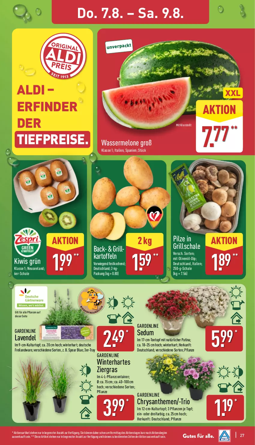 Aktueller Prospekt Aldi Nord - Von Montag - von 04.08 bis 09.08.2025 - strona 27 - produkty: aldi, Blüte, Brei, chrysanthemen, Container, dip, eis, Elan, gin, grill, kartoffel, kartoffeln, kiwi, kulturtopf, lavendel, melone, olive, oliven, olivenöl, pflanze, pflanzen, pilze, reis, Schal, Schale, Ti, tiefpreis, topf, wasser, wassermelone, ZTE