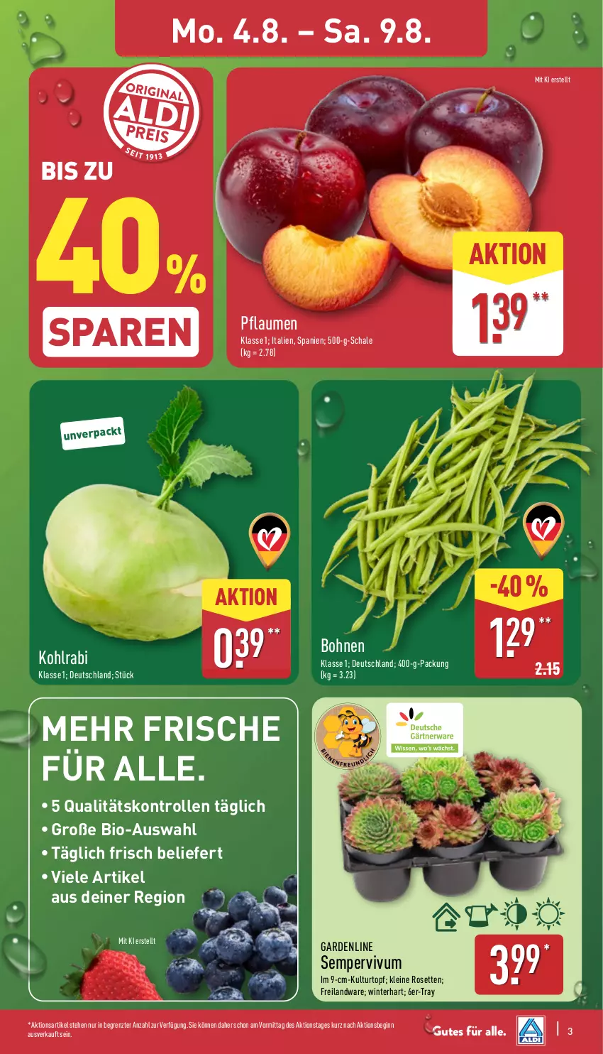 Aktueller Prospekt Aldi Nord - Von Montag - von 04.08 bis 09.08.2025 - strona 3 - produkty: bio, Blüte, bohne, bohnen, Brei, gin, kohlrabi, kulturtopf, leine, pflaume, pflaumen, Schal, Schale, Sempervivum, Ti, topf, ZTE