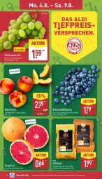 Gazetka promocyjna Aldi Nord - Von Montag - Gazetka - ważna od 09.08 do 09.08.2025 - strona 2 - produkty: aldi, beere, beeren, eis, grapefruit, grill, Grillmais, heidelbeere, heidelbeeren, mais, Nektar, nektarinen, reis, Schal, Schale, tafeltrauben, Ti, trauben, ZTE