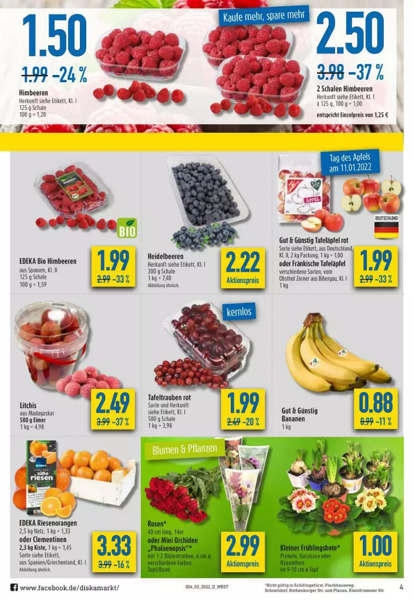 Aktueller Prospekt Diska - Prospekte - von 10.01 bis 15.01.2022 - strona 4 - produkty: aktionspreis, apfel, banane, bananen, beere, beeren, bio, burger, clementinen, deka, edeka bio, eimer, eis, fisch, heidelbeere, heidelbeeren, himbeer, himbeere, himbeeren, obst, orange, orangen, reis, Schal, Schale, tafeläpfel, tafeltrauben, tee, Ti, trauben