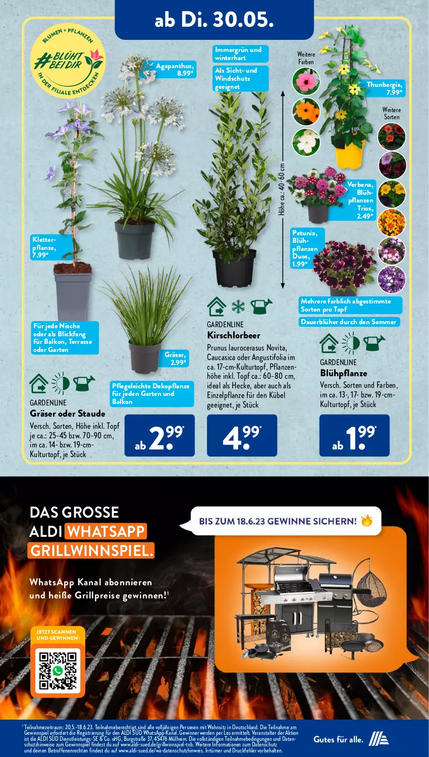 Aktueller Prospekt AldiSud - NÄCHSTE WOCHE - von 30.05 bis 03.06.2023 - strona 19 - produkty: aldi, asus, auer, eis, erde, Garten, gewinnspiel, grill, HP, kirsch, kulturtopf, pflanze, pflanzen, reis, Ti, topf, vita, Windschutz