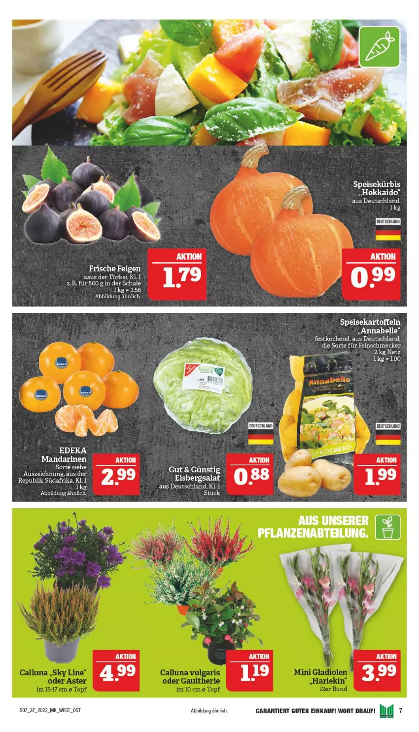 Aktueller Prospekt Marktkauf - Prospekt - von 11.09 bis 17.09.2022 - strona 11 - produkty: deka, eis, eisbergsalat, elle, feinschmecker, mandarine, mandarinen, salat, Ti