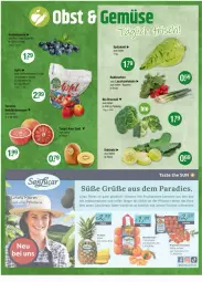 Gazetka promocyjna Vmarkt - Prospekte - Gazetka - ważna od 24.01 do 24.01.2024 - strona 4 - produkty: ananas, Bau, bio, broccoli, frucht, früchte, kohlrabi, Lauchzwiebel, lauchzwiebeln, mac, mandarine, mandarinen, pflanze, pralinen, radieschen, reifen, Schal, Schale, spitzkohl, tomate, tomaten, zwiebel, zwiebeln