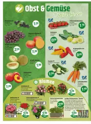 Gazetka promocyjna Vmarkt - Prospekte - Gazetka - ważna od 18.06 do 18.06.2025 - strona 8 - produkty: blume, blumen, cocktail, eier, Garten, karotten, kohlrabi, Körbchen, kräuter, küche, Küchen, Lusti, ndk, paprika, paprika mix, pflanze, pflanzen, Schal, Schale, Spitzpaprika, Ti, tomate, tomaten, topf, zucchini