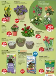 Gazetka promocyjna Vmarkt - Prospekte - Gazetka - ważna od 20.03 do 20.03.2024 - strona 15 - produkty: blume, blumen, blumenerde, Blüte, dünger, eis, ente, erde, Garten, im 9-cm-topf, Kalanchoe, lamm, LG, natur, orchidee, orchideen, pflanze, pflanzen, reis, reiss, Ria, Schal, Schale, Schmuck, Sukkulente, Ti, topf, zwiebel, zwiebeln