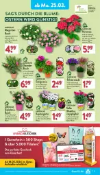 Gazetka promocyjna Aldi Nord - Von Montag - Gazetka - ważna od 30.03 do 30.03.2024 - strona 21 - produkty: abus, auer, blume, Blüte, Brei, dip, dipladenia, elle, geranie, gin, gutschein, hortensie, kulturtopf, LG, ndk, pflanze, Ria, teller, Ti, topf, Yo, ZTE