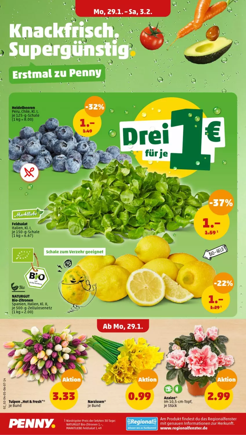 Aktueller Prospekt Penny - Prospekte - von 29.01 bis 03.02.2024 - strona 2 - produkty: beere, beeren, bio, bio-zitronen, eis, feldsalat, fenster, heidelbeere, heidelbeeren, Narzissen, natur, reis, salat, Schal, Schale, Ti, topf, zitrone, zitronen, ZTE