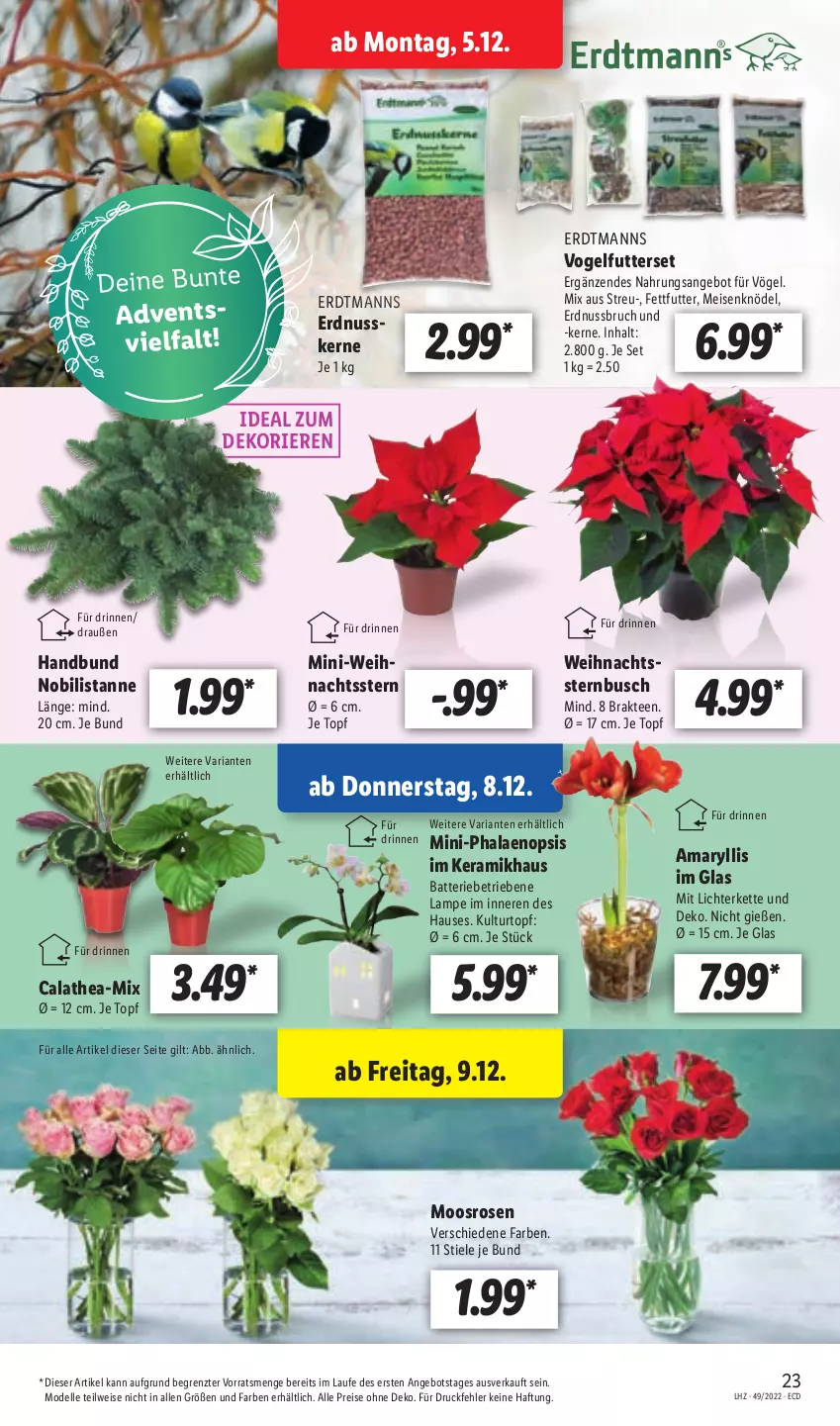 Aktueller Prospekt Lidl - Aktionsprospekt - von 05.12 bis 10.12.2022 - strona 23 - produkty: angebot, batterie, dell, eis, elle, erdnuss, Kette, Knödel, kulturtopf, Lampe, lichterkette, Meisenknödel, Mode, nuss, phalaenopsis, reis, Ria, rosen, tee, Thea, Ti, topf, Vogelfutter, Vogelfutterset, ZTE