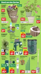 Gazetka promocyjna Thomas Philipps - Gazetka - ważna od 29.03 do 29.03.2025 - strona 3 - produkty: Behälter, blume, blumen, braun, Draht, edelstahl, ente, Garten, Hauswurz, hocker, kirsch, korb, Mantel, pflanze, pflanzen, Sempervivum, Spaten, Ti, tisch, topf, übertopf, Untersetzer, wasser