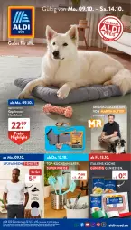 Gazetka promocyjna AldiSud - IN ZWEI WOCHEN - Gazetka - ważna od 14.10 do 14.10.2023 - strona 1 - produkty: aldi, auto, bett, eis, ente, Hundebett, küche, Küchen, Küchenhelfer, reis, shirt, shirts, T-Shirt, Ti, up2fashion