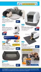 Gazetka promocyjna AldiSud - IN ZWEI WOCHEN - Gazetka - ważna od 14.10 do 14.10.2023 - strona 39 - produkty: aldi, auer, aust, ball, deo, eis, erde, Hasbro, jumbo, kamera, kissen, kissenhülle, korb, leine, LG, nerf, Reinigung, reis, rwe, Spiele, spielzeug, Stier, Ti, tierbedarf