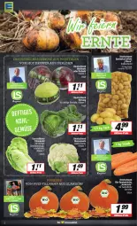 Gazetka promocyjna Edeka - Angebote der Woche - Gazetka - ważna od 30.09 do 30.09.2023 - strona 2 - produkty: Bau, bio, blume, blumen, blumenkohl, Cars, Datteln, eier, eintöpfe, eis, ilag, kartoffel, kartoffeln, Kürbis, LG, reis, rotkohl, sac, Schal, Schale, speisekartoffeln, Ti, Weißkohl, Wirsing