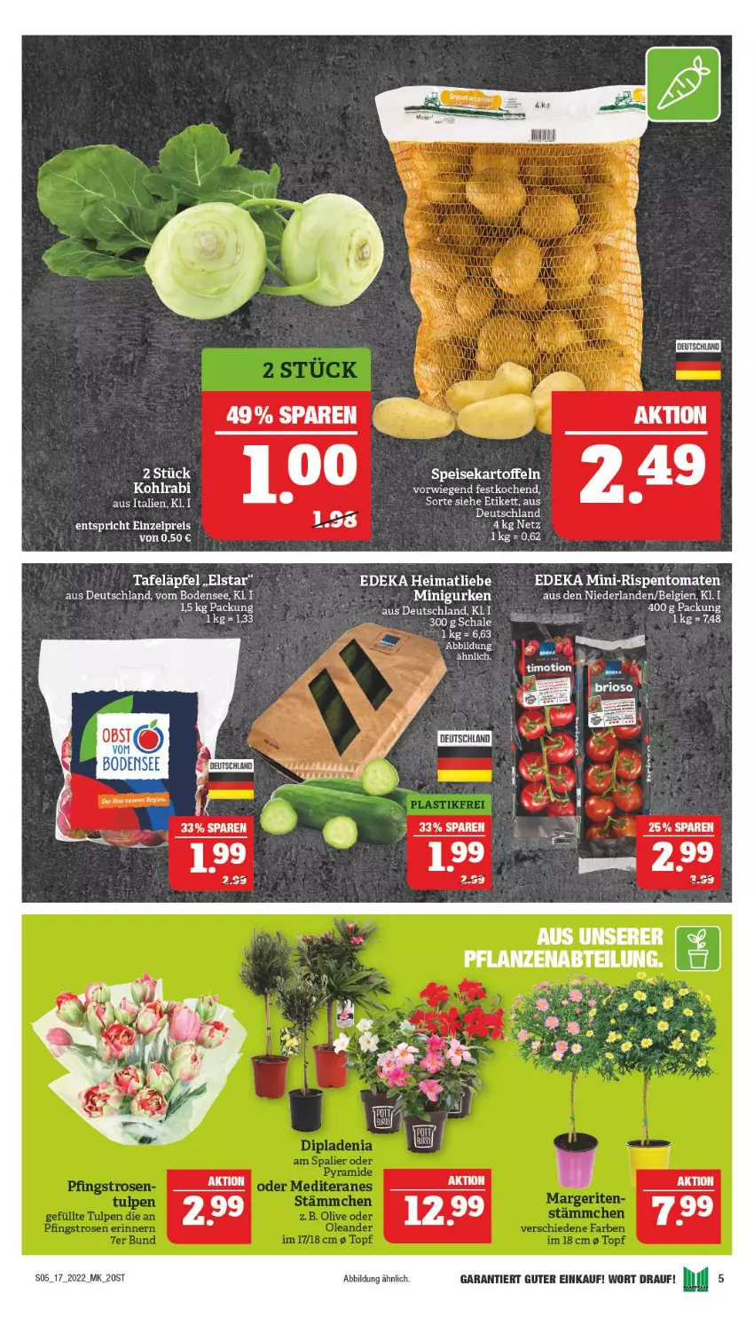 Aktueller Prospekt Marktkauf - Prospekt - von 24.04 bis 30.04.2022 - strona 5 - produkty: deka, kohlrabi, LG, mini-rispentomaten, rispentomaten, Schal, Schale, Ti, tomate, tomaten