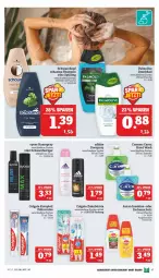 Gazetka promocyjna Marktkauf - Prospekt - Gazetka - ważna od 30.04 do 30.04.2022 - strona 17 - produkty: Adidas, Autan, Bad, bürste, colgate, creme, deo, deospray, duschbad, flasche, haarspray, LG, natur, natura, oder schaumfestiger, olive, palmolive, schauma, schauma shampoo, schaumfestiger, schwarzkop, schwarzkopf, sekt, shampoo, spülung, syoss, Ti, Yo, zahnbürste, zahncreme