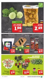 Gazetka promocyjna Marktkauf - Prospekt - Gazetka - ważna od 30.04 do 30.04.2022 - strona 5 - produkty: deka, kohlrabi, LG, mini-rispentomaten, rispentomaten, Schal, Schale, Ti, tomate, tomaten