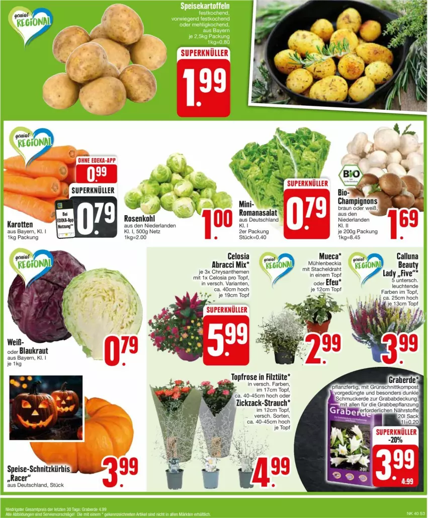 Aktueller Prospekt Edeka - Prospekte - von 30.09 bis 05.10.2024 - strona 5 - produkty: ACC, acer, braun, champignon, champignons, champignons braun, chrysanthemen, Draht, eis, karotten, Kraut, Kürbis, Leuchte, leuchten, Rauch, Ria, Romanasalat, sac, salat, topf, Tüte