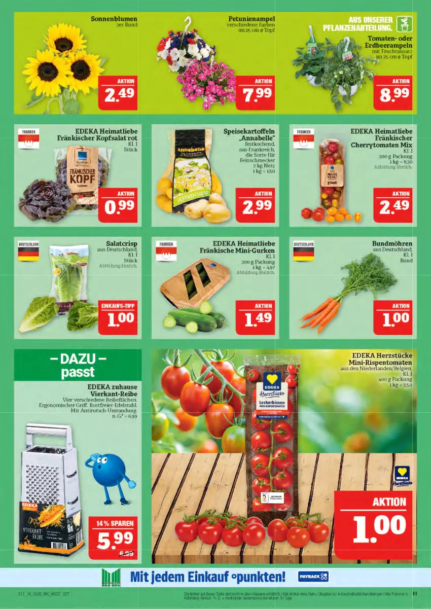 Aktueller Prospekt Marktkauf - Prospekt - von 15.06 bis 21.06.2025 - strona 11 - produkty: blume, blumen, Bundmöhren, cherrytomaten, deka, edelstahl, eier, eis, elle, feinschmecker, frucht, gurke, gurken, kartoffel, kartoffeln, kopfsalat, LG, mini-gurken, mini-rispentomaten, mit frucht, möhren, petunie, petunien, rispentomaten, salat, sonnenblume, sonnenblumen, speisekartoffeln, Ti, tomate, tomaten, topf, ZTE