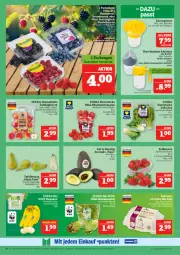 Gazetka promocyjna Marktkauf - Prospekt - Gazetka - ważna od 21.06 do 21.06.2025 - strona 10 - produkty: adapter, avocado, Becher, beere, beeren, Behälter, Birnen, deka, eis, erdbeere, erdbeeren, himbeer, himbeere, himbeeren, pflaume, pflaumen, reis, sana, tafeläpfel, tafelbirnen, Ti, Tiere, tomate, tomaten, weck, Zitruspresse