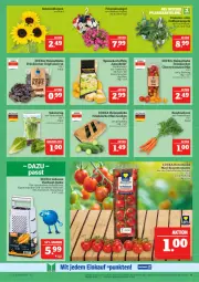 Gazetka promocyjna Marktkauf - Prospekt - Gazetka - ważna od 21.06 do 21.06.2025 - strona 11 - produkty: blume, blumen, Bundmöhren, cherrytomaten, deka, edelstahl, eier, eis, elle, feinschmecker, frucht, gurke, gurken, kartoffel, kartoffeln, kopfsalat, LG, mini-gurken, mini-rispentomaten, mit frucht, möhren, petunie, petunien, rispentomaten, salat, sonnenblume, sonnenblumen, speisekartoffeln, Ti, tomate, tomaten, topf, ZTE