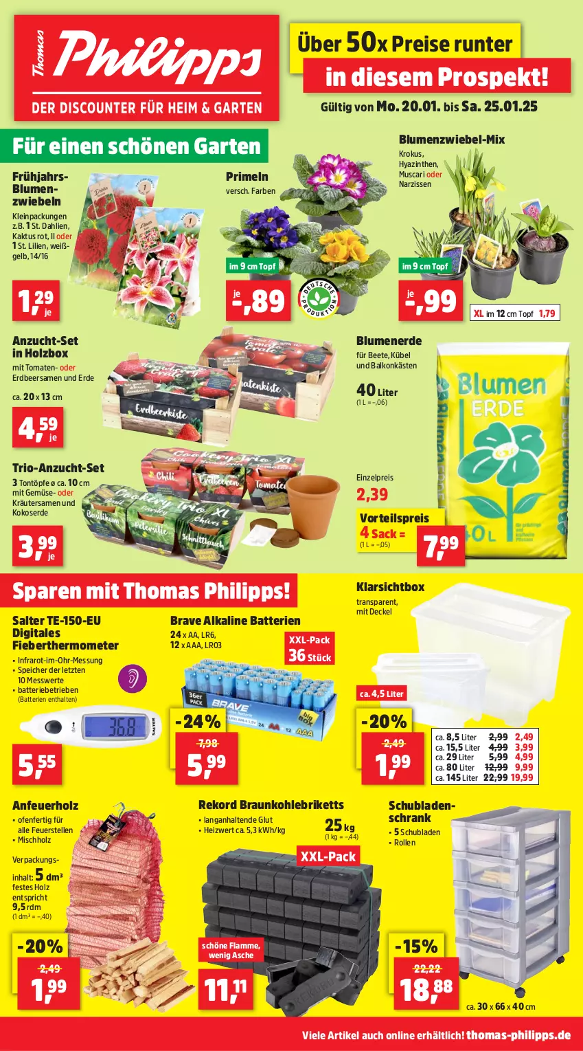 Aktueller Prospekt Thomas Philipps - von 20.01 bis 25.01.2025 - strona 1 - produkty: Anfeuerholz, batterie, batterien, blume, blumen, blumenerde, braun, briketts, dahlie, decke, Deckel, eis, elle, erde, Fieberthermometer, Garten, Holz, Klarsichtbox, kokos, kräuter, lamm, mit gemüse, Narzissen, oder kräuter, Ofen, Primeln, reis, sac, Schrank, schubladen, thermometer, Ti, tomate, tomaten, topf, vorteilspreis, ZTE, zwiebel, zwiebeln