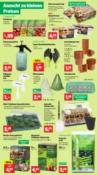 Gazetka promocyjna Thomas Philipps - Gazetka - ważna od 25.01 do 25.01.2025 - strona 3 - produkty: Bau, Becher, blume, blumen, decke, Deckel, eis, elle, ente, erde, Garten, Gewächshaus, handschuhe, Kette, kokos, kräuter, latte, leine, magnesium, mit gemüse, natur, pflanze, pflanzen, pizza, Rauch, reis, rind, rinder, Schal, Schale, schuhe, Ti, topf, topf-set, und gemüse, usb, Wanne, wasser