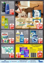 Gazetka promocyjna Edeka - Prospekte - Gazetka - ważna od 25.10 do 25.10.2025 - strona 17 - produkty: Brei, coupon, coupons, eis, gin, Nassnahrung, payback, reis, Ti, ZTE