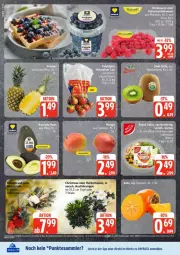 Gazetka promocyjna Edeka - Prospekte - Gazetka - ważna od 25.10 do 25.10.2025 - strona 6 - produkty: ananas, eis, nuss, payback, reis, tesa, Ti, topf, ZTE
