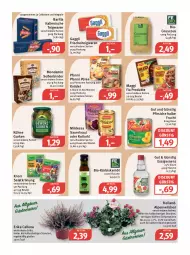 Gazetka promocyjna Feneberg - Prospekte - Gazetka - ważna od 15.10 do 15.10.2022 - strona 11 - produkty: Alpenveilchen, auer, barilla, beutel, bio, couscous, discount, elle, essig, flasche, frucht, gaggli, gurke, gurken, Knödel, knorr, kochbeutel, Kraut, Kühne, Kürbis, Kürbiskernöl, LG, maggi, maggi fix, mondamin, pfanni, pfirsich, pfirsiche, püree, rotkohl, salat, salatkrönung, Sauerkraut, Soße, teigwaren, Ti, topf