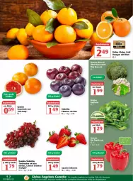 Gazetka promocyjna Globus - Prospekte - Gazetka - ważna od 22.01 do 22.01.2022 - strona 2 - produkty: angebot, angebote, angebotspreis, beere, beeren, beutel, bio, Bluccoli, blume, blumen, blumenkohl, broccoli, eis, elle, erdbeere, erdbeeren, früchte, grapefruit, kopfsalat, LG, orange, orangen, paprika, paprika rot, pflaume, pflaumen, reis, salat, Schal, Schale, starlight, tafeltrauben, Ti, trauben