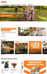 Gazetka promocyjna Obi - Prospekte - Gazetka - ważna od 16.10 do 16.10.2024 - strona 1 - produkty: angebot, angebote, bosch, Garten, LG, mac, rind, Tapete, Tapeten, Ti, topf