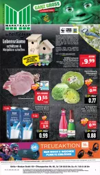 Gazetka promocyjna Marktkauf - Prospekt - Gazetka - ważna od 17.02 do 17.02.2024 - strona 1 - produkty: alkohol, brut, deka, ecco, eis, eisbergsalat, erde, frucht, fruchtsecco, haltbare milch, harman, Holz, jbl, kotelett, milch, natur, pflanze, pflanzen, Pinsel, reis, salat, schwein, schweine, schweinekotelett, sekt, tee, Ti, Tiere, uhr, weihenstephan, wein, weine, ZTE