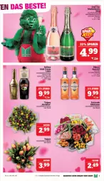 Gazetka promocyjna Marktkauf - Prospekt - Gazetka - ważna od 17.02 do 17.02.2024 - strona 5 - produkty: aperitif, baileys, eis, flasche, irish cream, likör, reis, rosen, sekt, Ti, ZTE