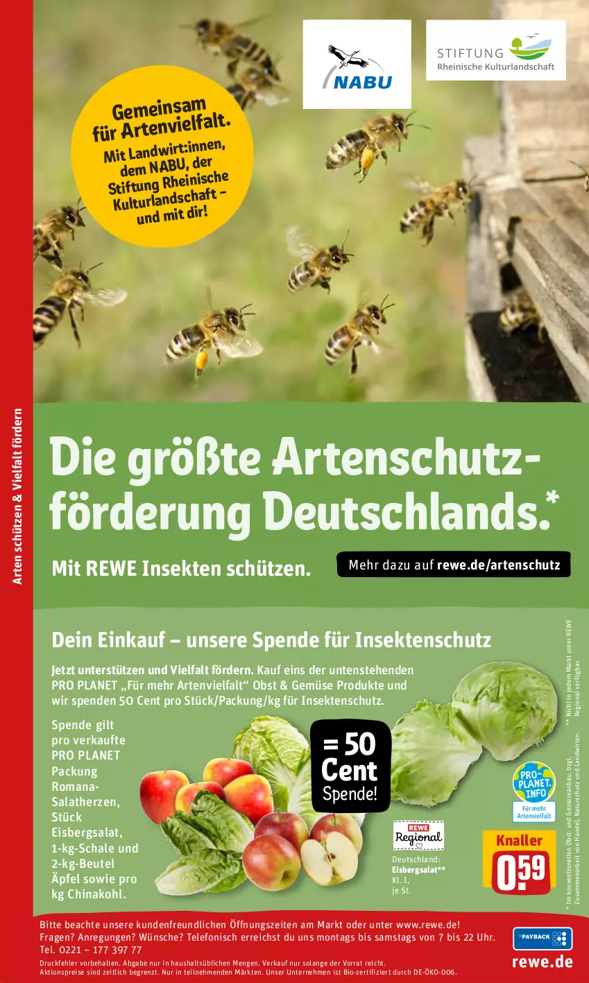 Aktueller Prospekt Rewe - REWE Ihr Kaufpark - von 20.06 bis 25.06.2022 - strona 14 - produkty: aktionspreis, Bau, beutel, bio, eis, eisbergsalat, elle, insektenschutz, natur, obst, reis, Romanasalat, salat, salatherzen, Schal, Schale, Schütze, sekt, telefon, Ti, uhr, und gemüse