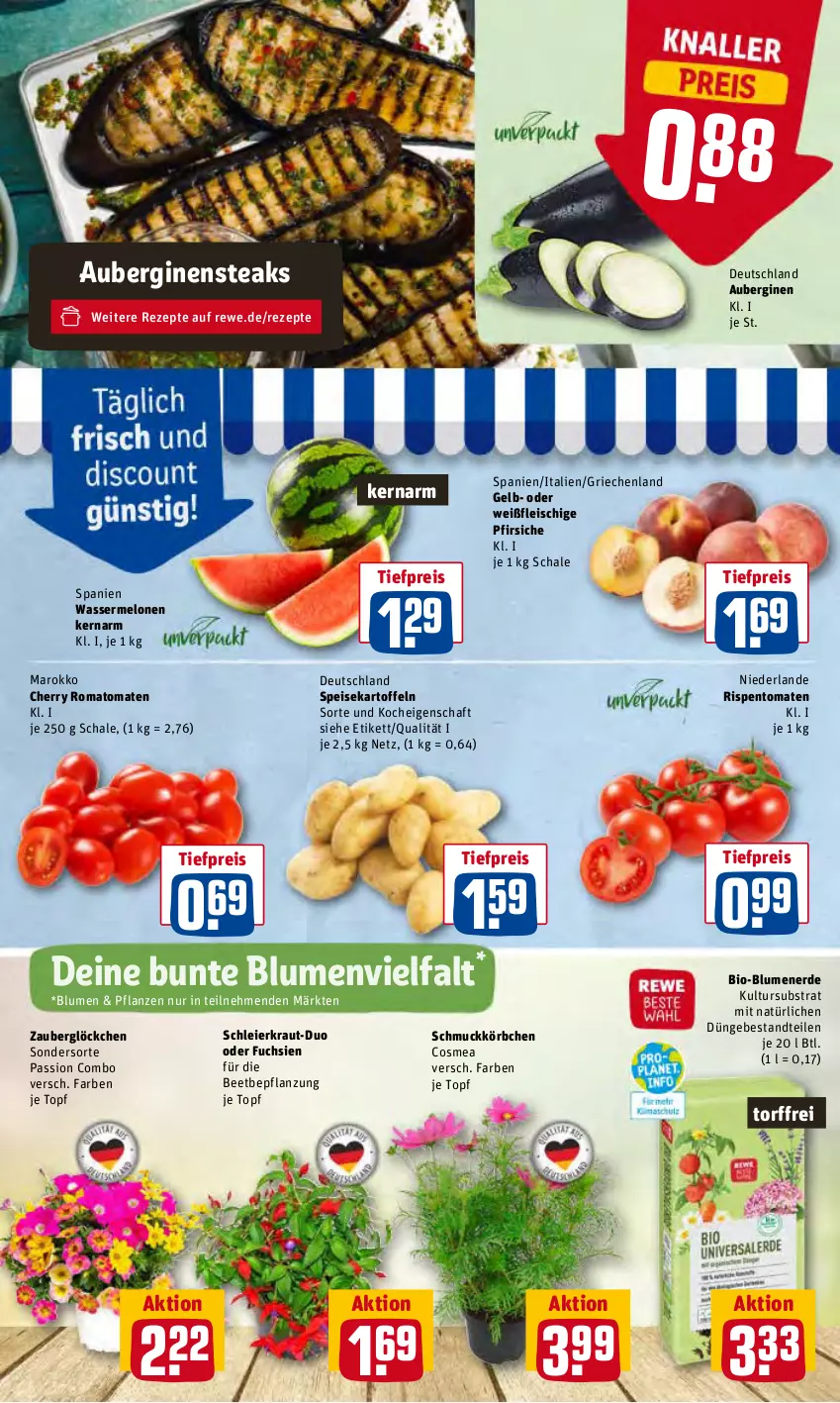 Aktueller Prospekt Rewe - REWE Ihr Kaufpark - von 20.06 bis 25.06.2022 - strona 3 - produkty: aubergine, auberginen, bio, blume, blumen, blumenerde, cosmea, eier, eis, erde, fleisch, gin, kartoffel, kartoffeln, Körbchen, Kraut, melone, melonen, pfirsich, pfirsiche, pflanze, pflanzen, reis, rezept, rezepte, rispentomaten, Romatomaten, Schal, Schale, Schmuck, speisekartoffeln, steak, steaks, Ti, tiefpreis, tomate, tomaten, topf, wasser, wassermelone, wassermelonen, zauberglöckchen