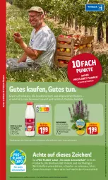 Gazetka promocyjna Rewe - REWE Ihr Kaufpark - Gazetka - ważna od 25.06 do 25.06.2022 - strona 16 - produkty: bio, coupon, coupons, eis, elle, erde, Garten, insektenschutz, mac, rewe beste wahl, sahne, schlagsahne, Schütze, sekt, stauden, Ti, topf