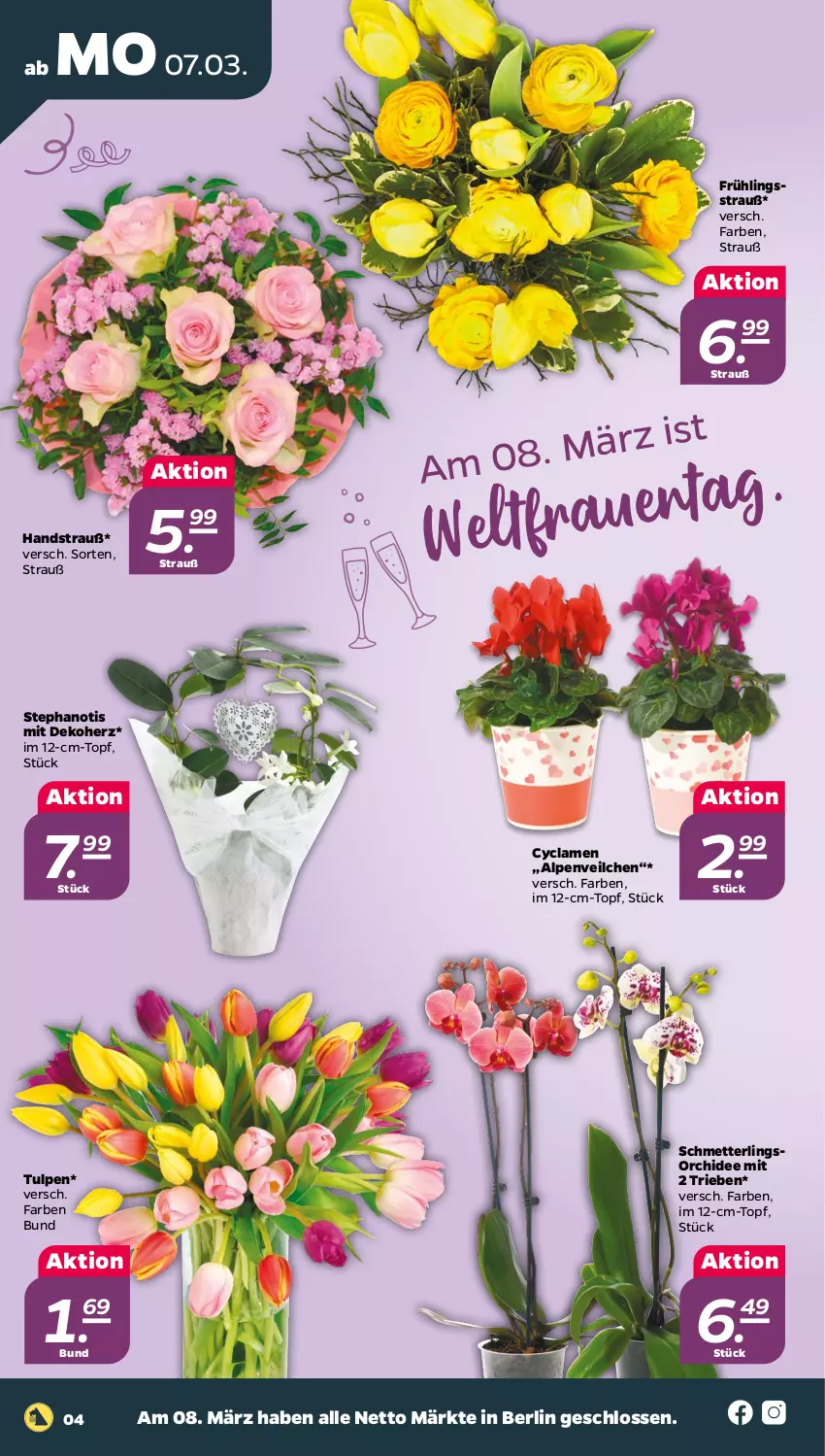 Aktueller Prospekt Netto - Angebote ab Montag - von 07.03 bis 12.03.2022 - strona 4 - produkty: Alpenveilchen, Mett, orchidee, Schmetterling, schmetterlingsorchidee, Ti, topf