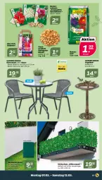 Gazetka promocyjna Netto - Angebote ab Montag - Gazetka - ważna od 12.03 do 12.03.2022 - strona 17 - produkty: Bad, blume, blumen, blumenerde, erde, Gladiolen, Ria, ring, Spezi, stuhl, Ti, tisch, zwiebel, zwiebeln