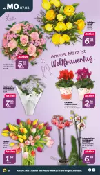 Gazetka promocyjna Netto - Angebote ab Montag - Gazetka - ważna od 12.03 do 12.03.2022 - strona 4 - produkty: Alpenveilchen, Mett, orchidee, Schmetterling, schmetterlingsorchidee, Ti, topf